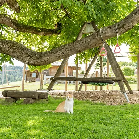 5 Sterne Tulpe Dienberger Hof Apartman Untergriesbach