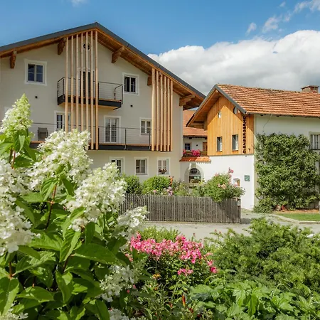 5 Sterne Tulpe Dienberger Hof