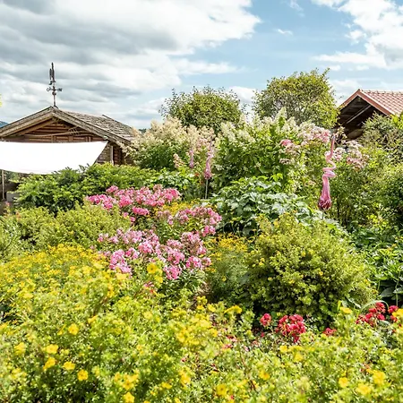 5 Sterne Tulpe Dienberger Hof Apartman *