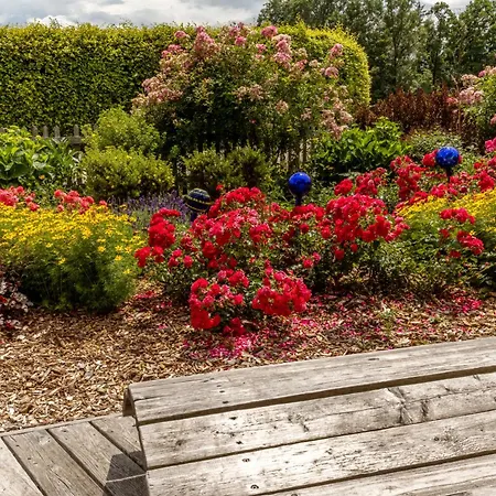 5 Sterne Tulpe Dienberger Hof * Untergriesbach